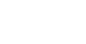 BVNA logo