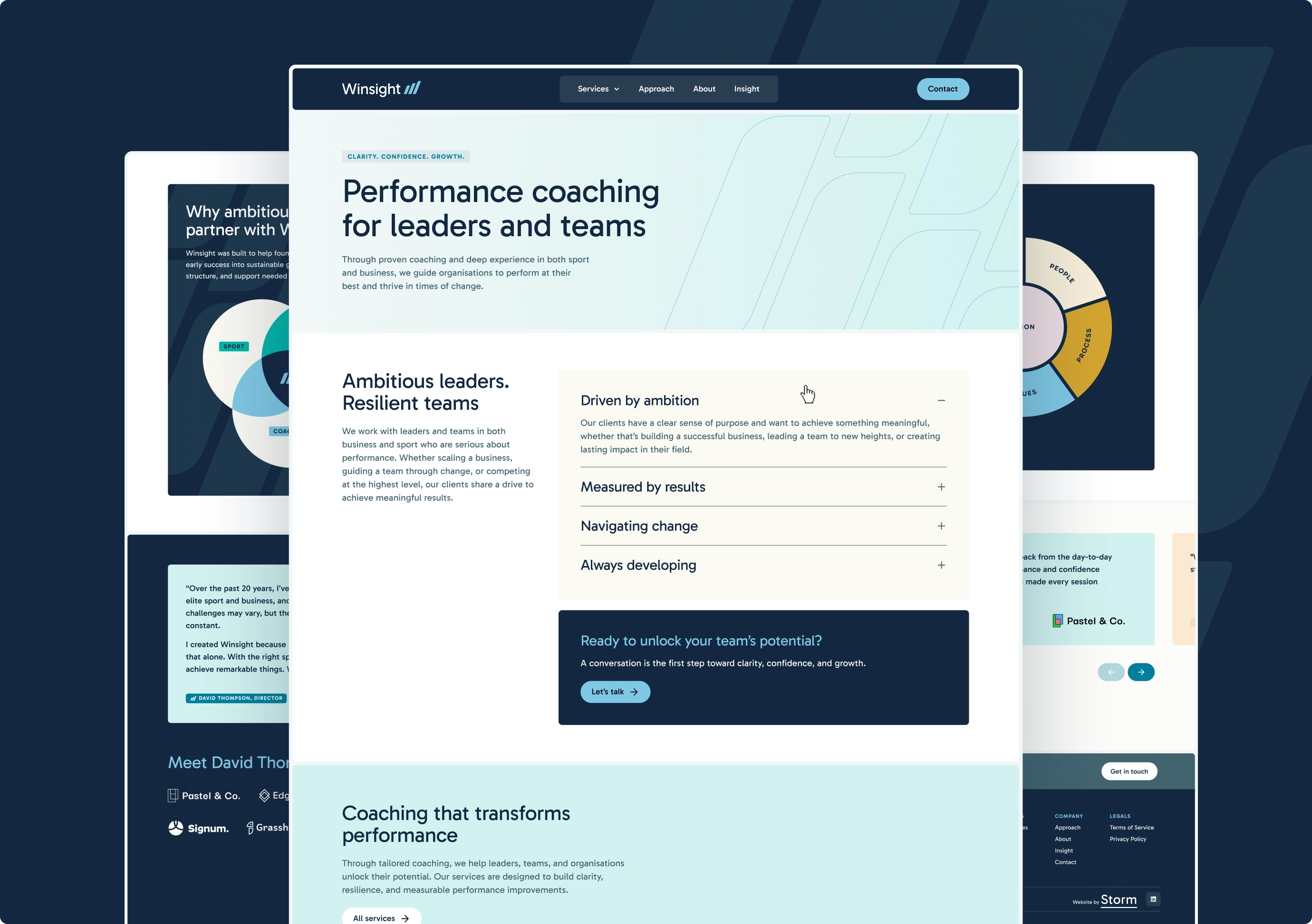 Designs showing 3 pages of the Winsight website